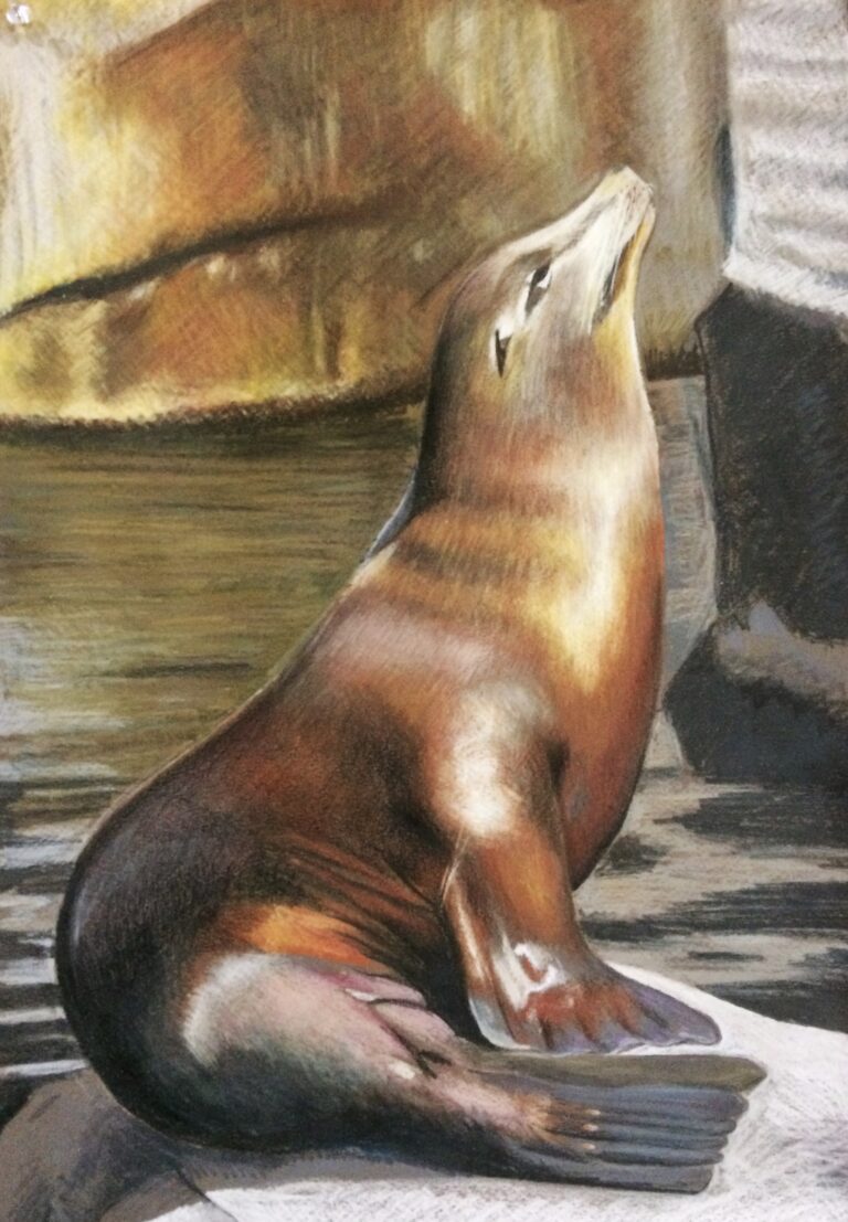 Seal drawing_1